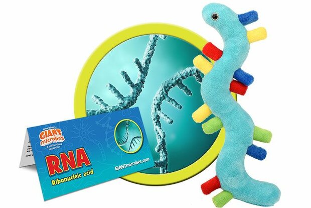 Giant Microbes Plush - Science Biology Cell RNA