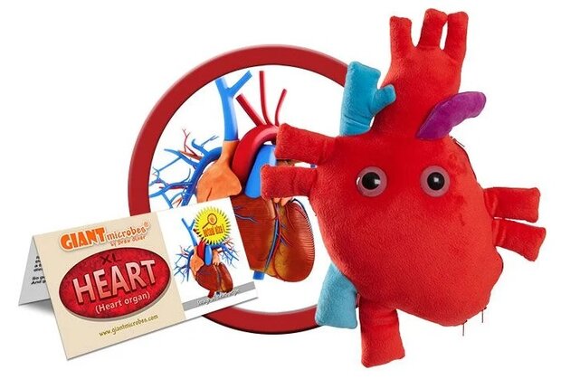 Giant Microbes XL - Science Biology Deluxe Heart