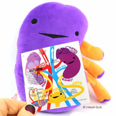 I Heart Guts - Kolossale Nier (Colossal Kidney) plush