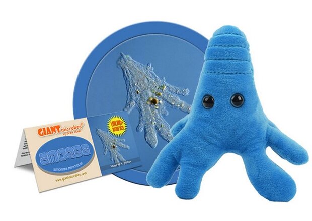 Giant Microbes Amoeba blue (Amoeba Proteus)