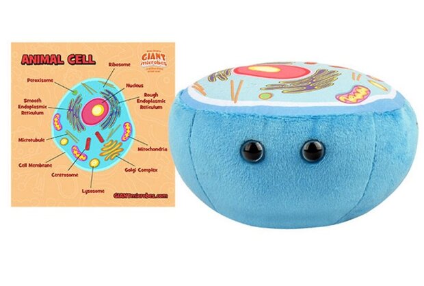 Giant Microbes pluche Animal Cell (dierlijke cel)
