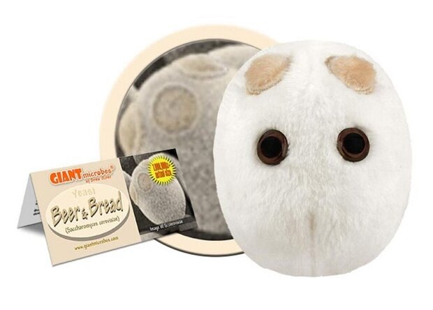 Giant Microbes Beer and bread (yeast - gist)