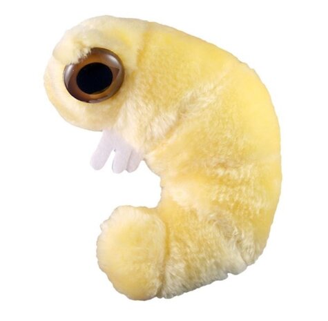 Giant Microbes Bookworm (boekenworm)