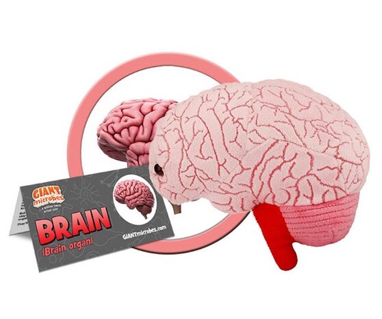 Giant Microbes Brain Organ