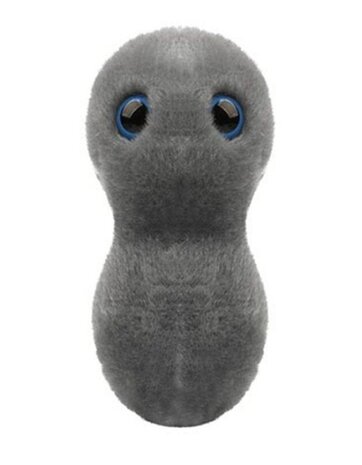 Giant Microbes Clap - Gonorrhea {Neisseria Gonorrhoeae}