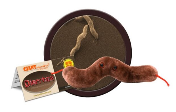 Giant Microbes Diarrhea (Campylobacter jejuni)