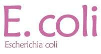 Giant Microbes E. coli bacteria