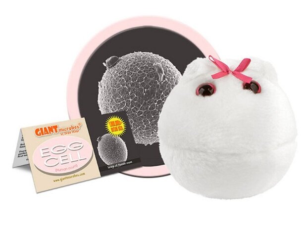 Giant Microbes pluche Egg cell (ei cel)