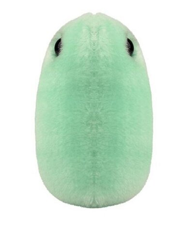 Giant Microbes pluche Flu (griep)
