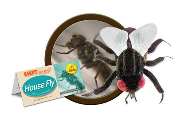 Giant Microbes plush version of a housefly (Musca Domestica)