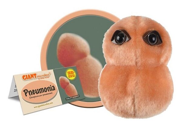 Giant Microbes Pneumonia (longontsteking)
