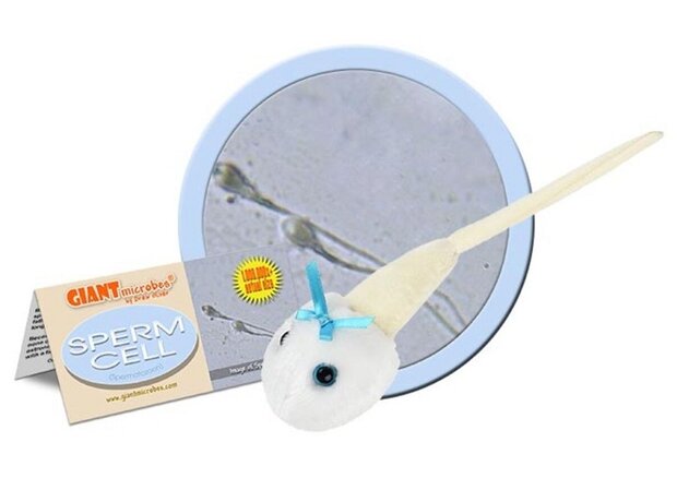 Giant Microbes pluche Sperm cell (zaadcel)