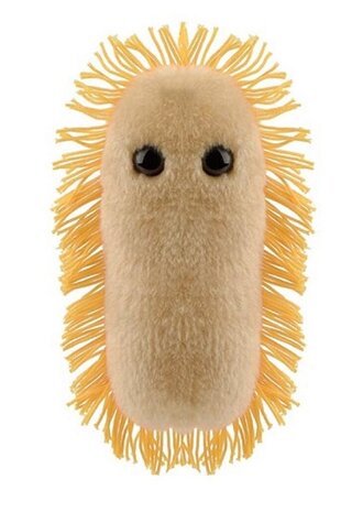 Giant Microbes pluche Stomach ache (maagpijn) - Shigella bacterie