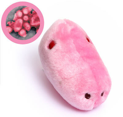 Giant Microbes Swine Flu (Mexicaanse griep)