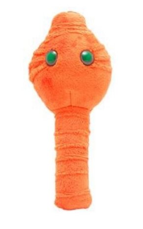 Giant Microbes plush Botulism (Clostridium botulinum - Botox)
