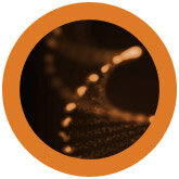 Giant Microbes DNA (Deoxyribonucleic acid)