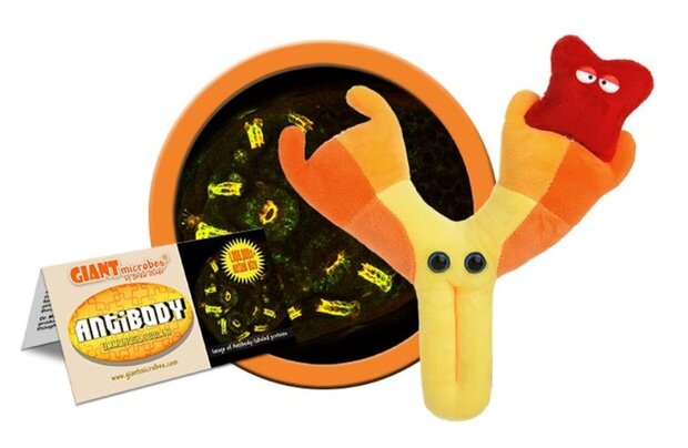 Giant Microbes Antibody (Immuno globulin)