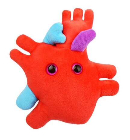 Giant Microbes Human Heart Organ