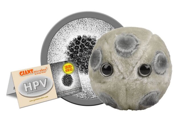 Giant Microbes HPV (Humaan Papillomavirus)