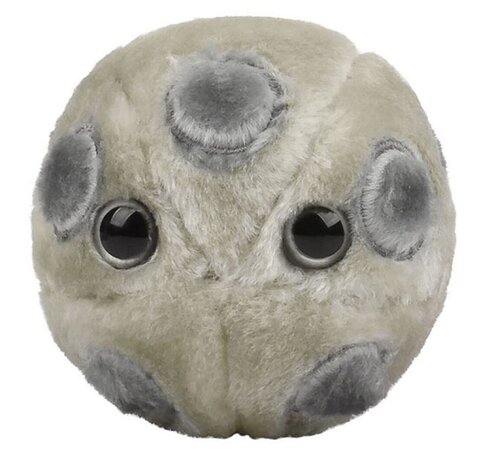 Giant Microbes HPV (Humaan Papillomavirus)