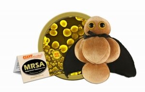Giant Microbes pluche MRSA knuffel