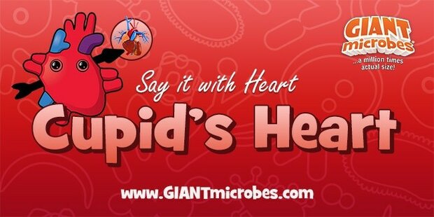 Giant Microbes Cupids Heart