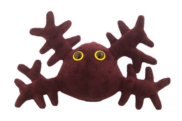 Giant Microbes Kidney Cell