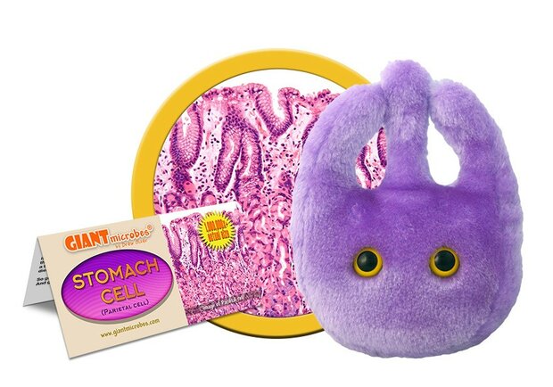 Giant Microbes Stomach Cell