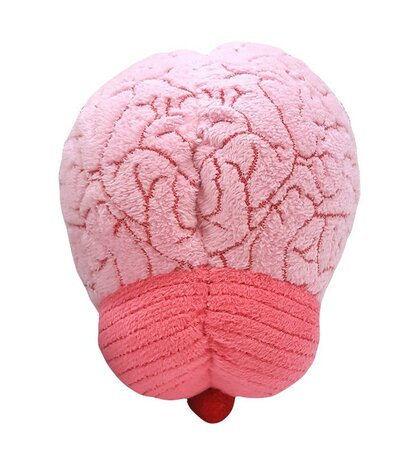 Giant Microbes Brain Organ