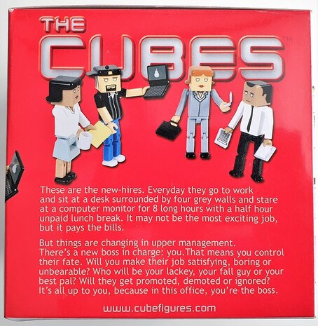 Cubes Dan-Sue-Jan-Jim Expansion set of 4 figures