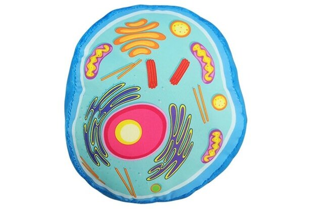 Giant Microbes pluche Animal Cell (dierlijke cel)