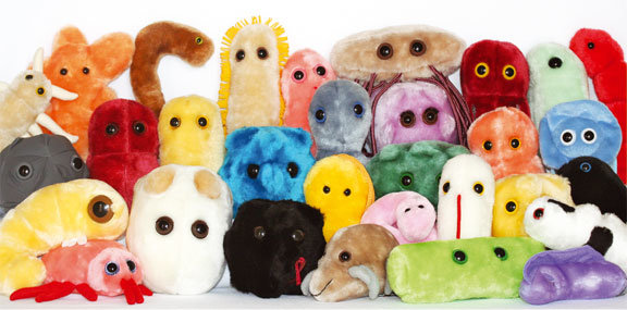 Giant microbes nederland outlet