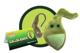 Giant Microbes Organ - Science Biology Gallbladder