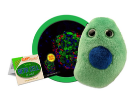 Giant Microbes Diabetes Beta Cell (Insulin)