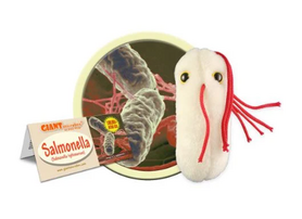 Giant Microbes pluche Salmonella bacterie (Salmonella typhimurium)