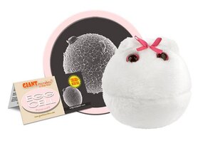 Giant Microbes plush Egg cell