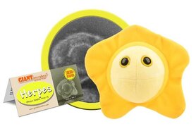 Giant Microbes pluche Herpes simplex virus