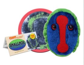 Giant Microbes pluche Smallpox virus (Variola virus)