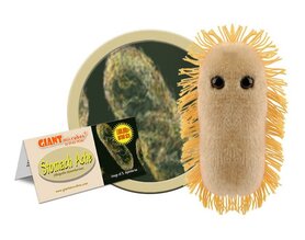 Giant Microbes pluche Stomach ache (maagpijn) - Shigella bacterie
