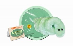 Giant Microbes Lyme disease (ziekte van Lyme)
