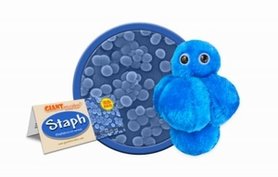 Giant Microbes Staph (Staphylococcus aureus)