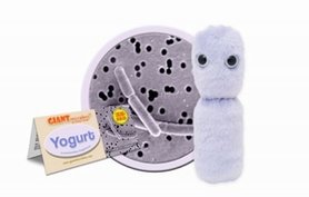 Giant Microbes plush Yogurt bacteria (Lactobacillus Bulgaricus)