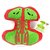 I Heart Guts Orgaan - Wetenschap biologie pluche sinussen