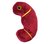 Giant Microbes Organ - Science Biology Kidney