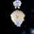 Celestial Buddies pluche - Wetenschap astronomie kosmische kameraad Polaris (Poolster)