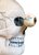 Giant Microbes XL - Wetenschap biologie Deluxe Schedel