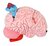 Giant Microbes Gigantic - Wetenschap biologie deluxe pluche orgaan hersenen